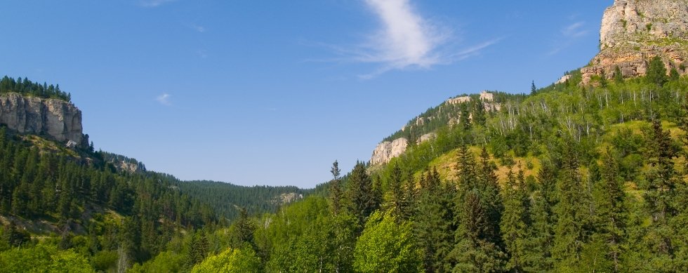 Spearfish Canyon in the Black Hills of South Dakota