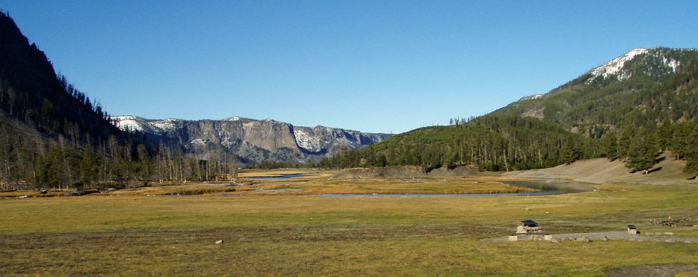 National Park Meadow at Madison Junction